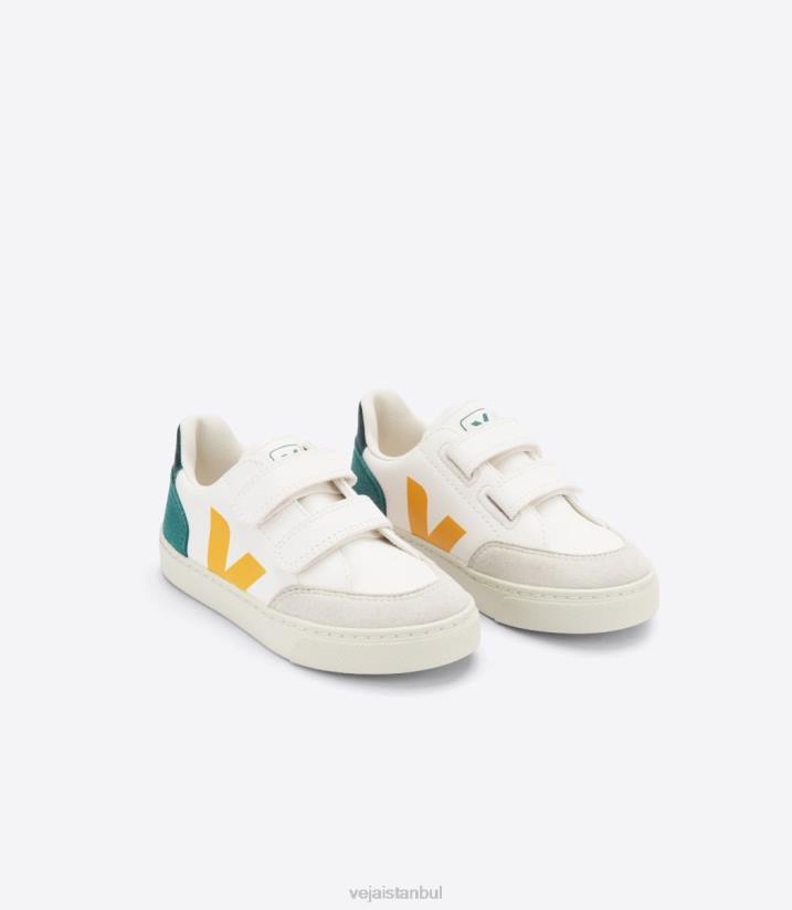 40N6308Veja v-12 kromsuz deri multico brittany