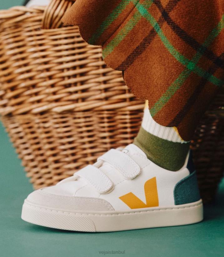 40N6308Veja v-12 kromsuz deri multico brittany