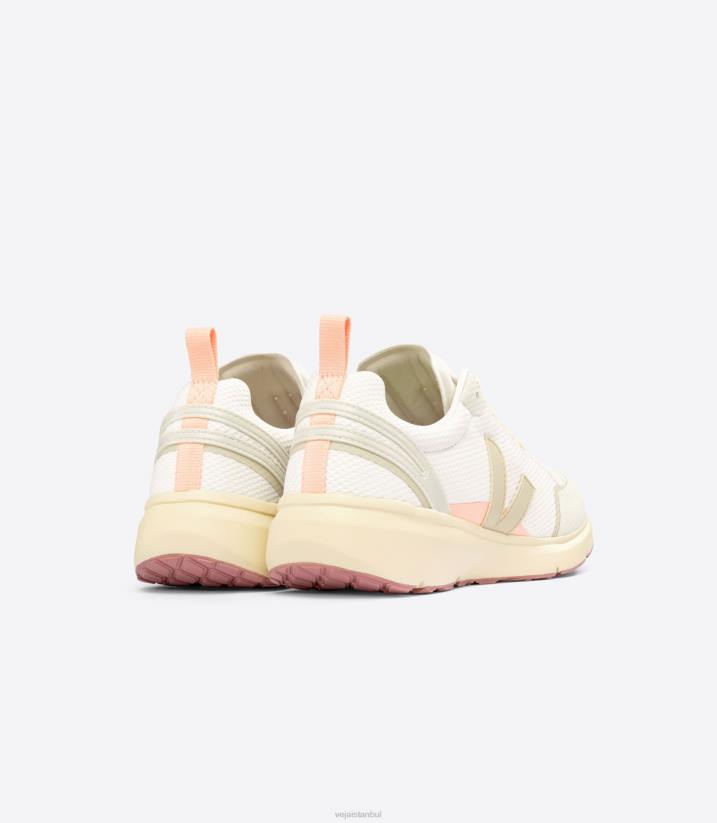 40N6190Veja condor 2 alveomesh çakıl badem