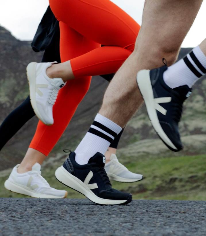 40N6196Veja akbaba 2 alveomesh nautico pierre