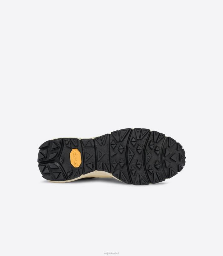 40N6125Veja dekkan alveomesh grafit pierre