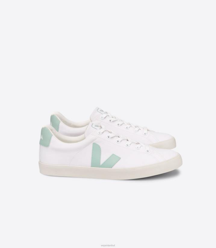40N6244Veja esplar se canvas beyaz matcha